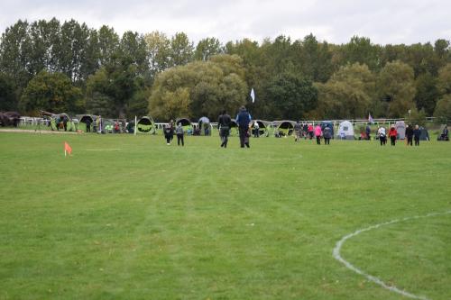 DSC 3063
